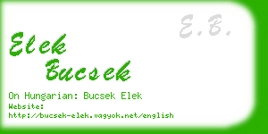 elek bucsek business card